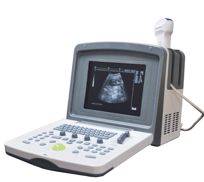DP-6500 Portable B/W Ultrasound Scanner